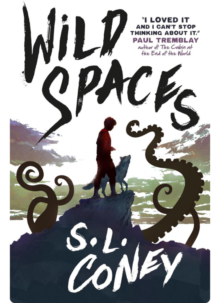 cover of wild spaces by s l coney